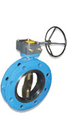Double Flanged Handle Industrial Butterfly Valve
