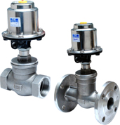 Control Valve GKS/GKF Model Control Valve GKS/GKF Model
